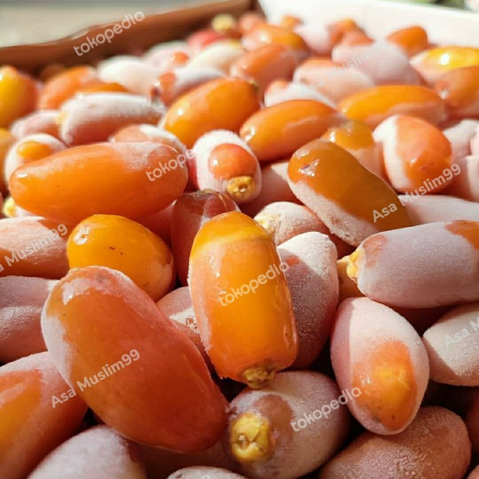 

Kurma muda basah crunchy untuk promil dan penyubur kandungan 1kg