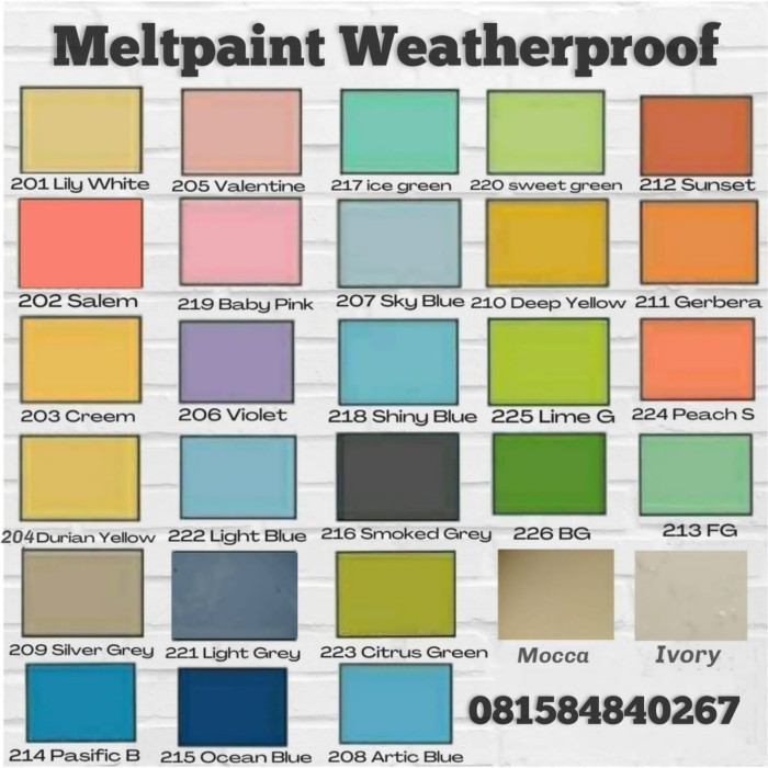 ( Ready Stok ) Meltpaint Weatherproof 20kg