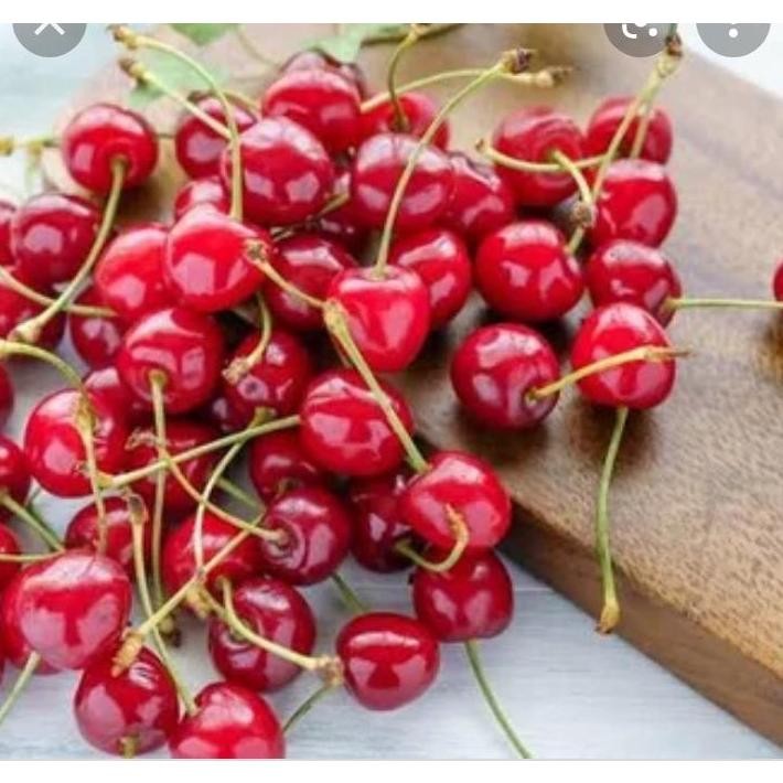 

Cherry Merah Import Fresh Premium 250 grm