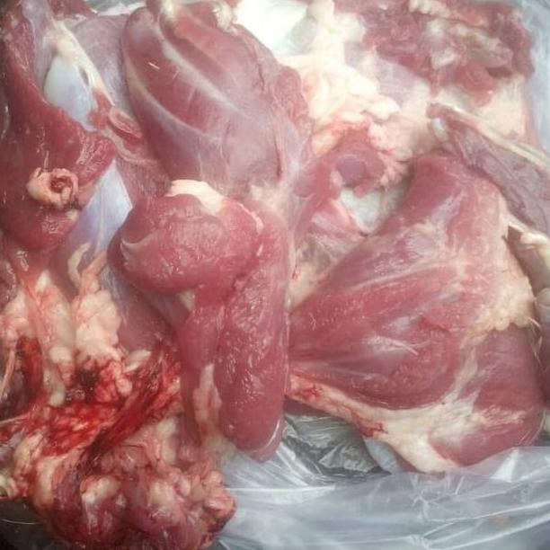 

Daging Kambing Muda 1 kg