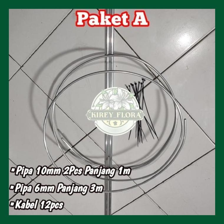 Tiang Rambatan Tabulampot Anggur - Anjir Anggur Atau Tanaman Rambat