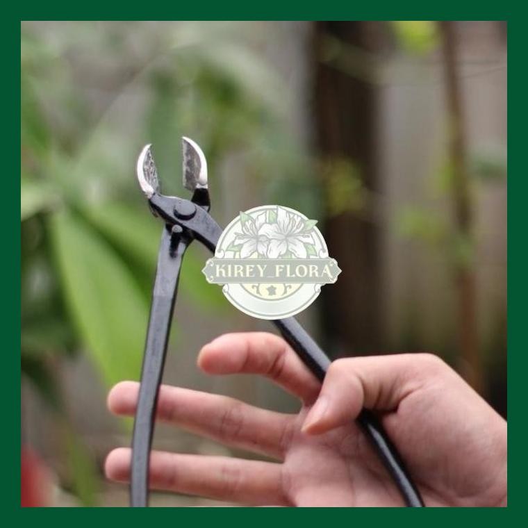 Catok Bonsai Miring Lokal 25 Cm Catok Miring