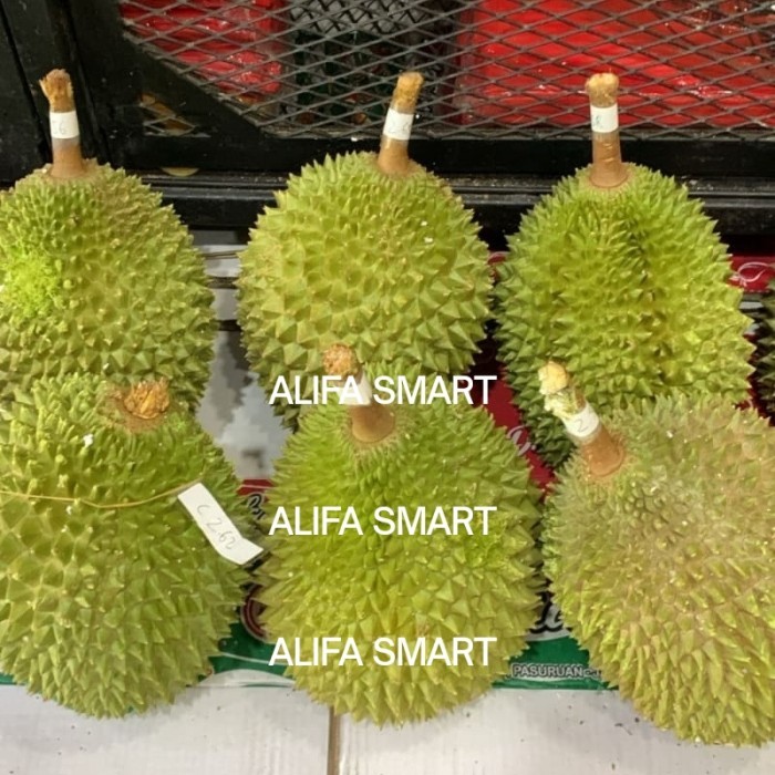 

DURIAN MUSANGKING FRESH 1 BUAH