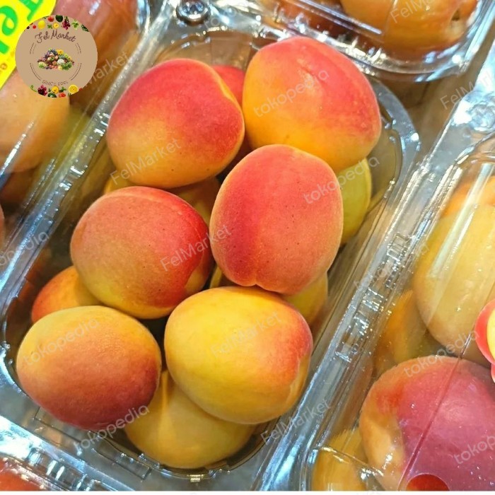 

Buah Apricot Import Fresh Buah Aprikot Premium Pack