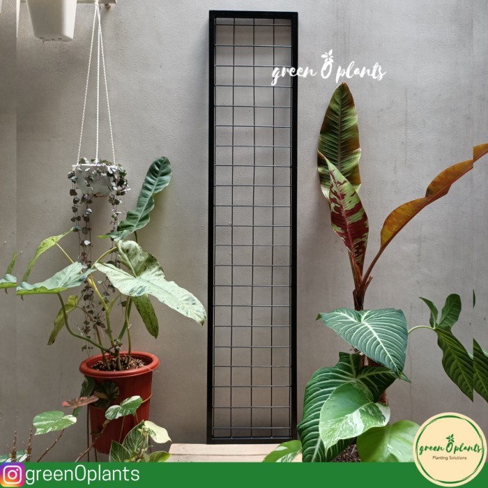 Rak Vertical Garden 120Cmx25Cm