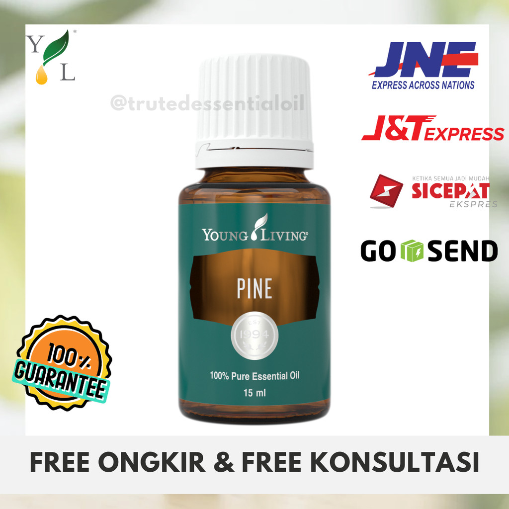 PINE ESSENTIAL OIL YOUNG LIVING 15ML