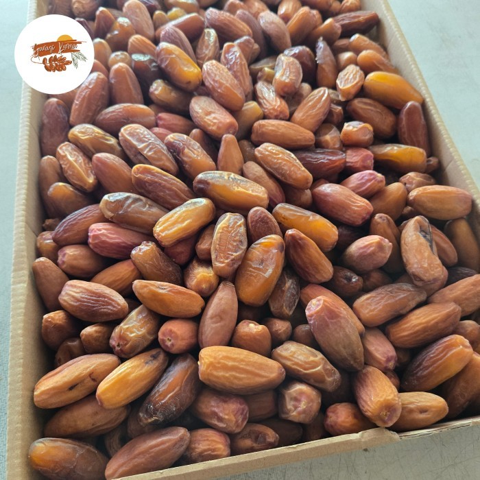 

Urma 1G Deglet Libya Tanpa Tangai Freh Urma Tuniia Non Tangai 1G Quality