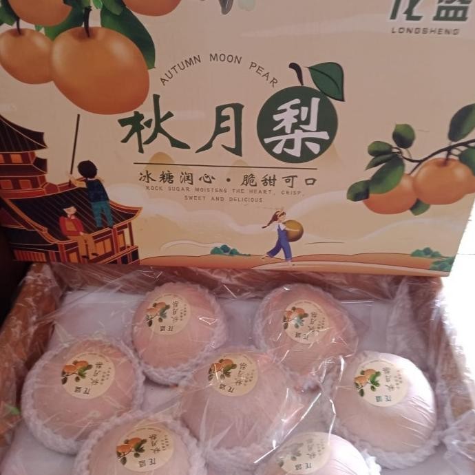 

Promo Barang Terlaris Buah Pear Singo Gift Imlek Per Box Fresh