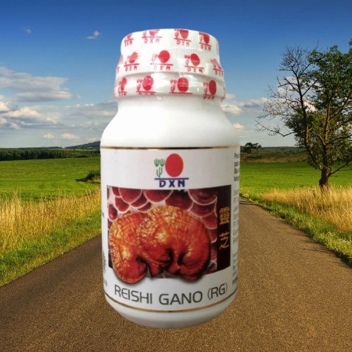 

ORIGINAL DXN Reishi Gano RG Isi 90 Kapsul PREMIUM