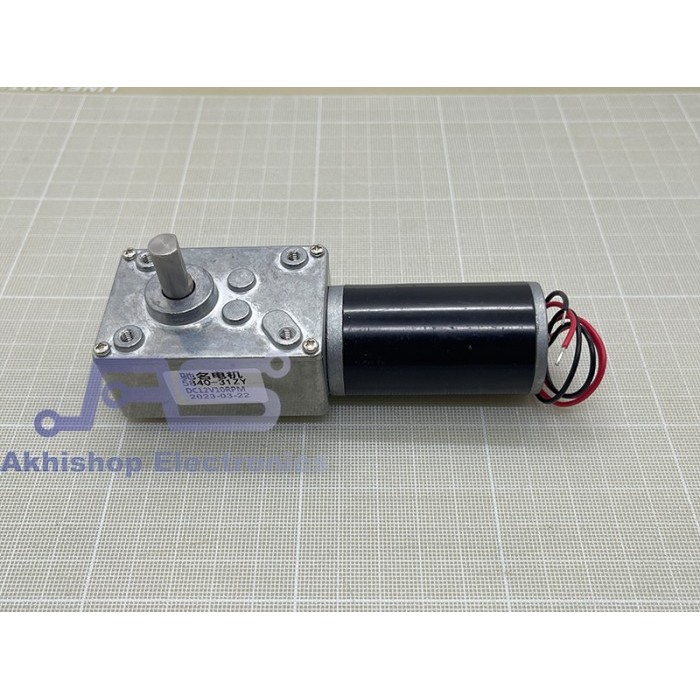 Permanent Magnet Worm Gear Motor DC 4058GW31ZY 12V 10RPM