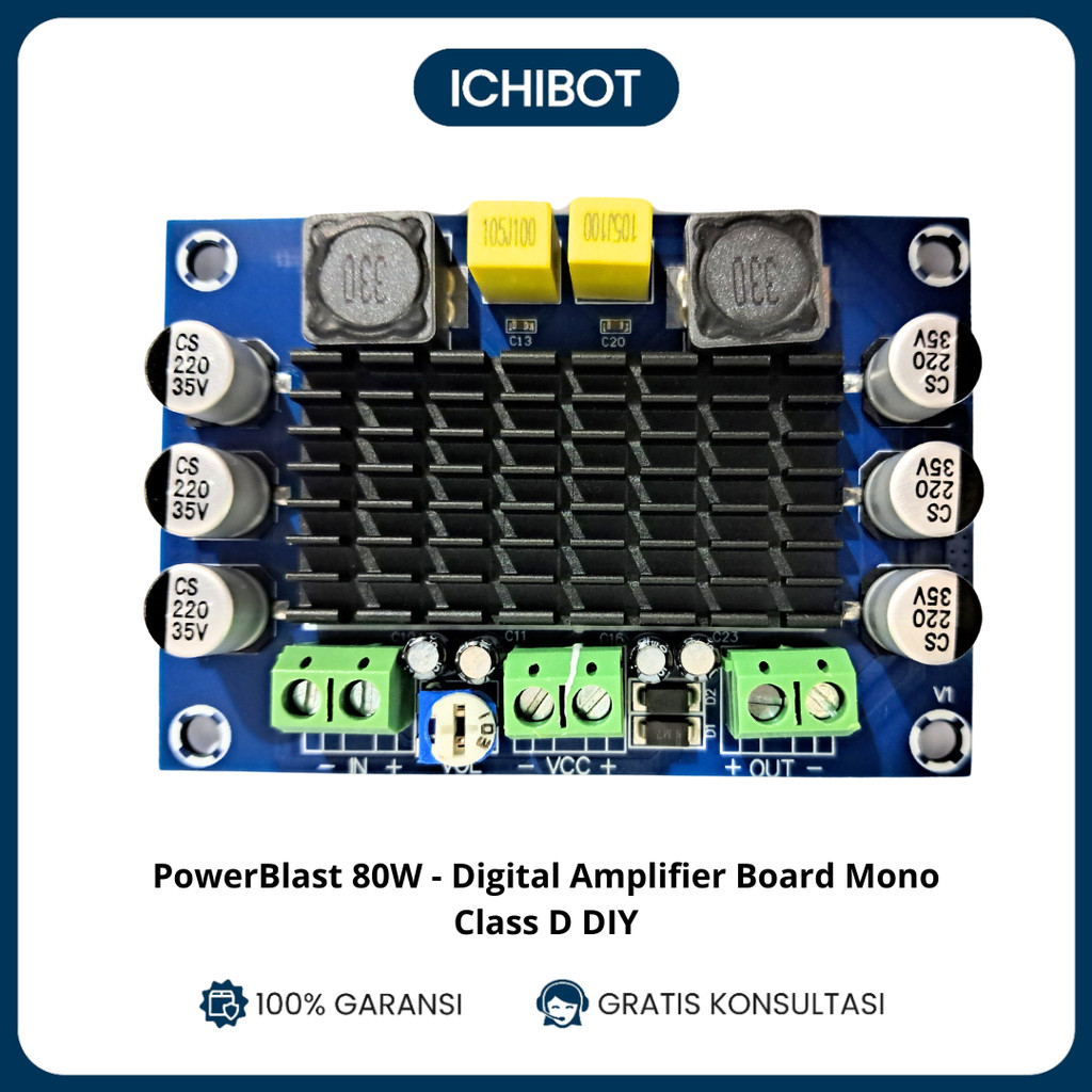 Digital Amplifier Board Mono Class D DIY - 80W