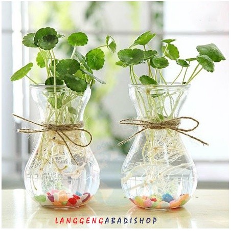 Awet Vas Bunga Kaca Bening Tali Rami Vas Bunga Kaca Bulat Vas Bunga Kaca Bening Tali Rami Vas Bunga