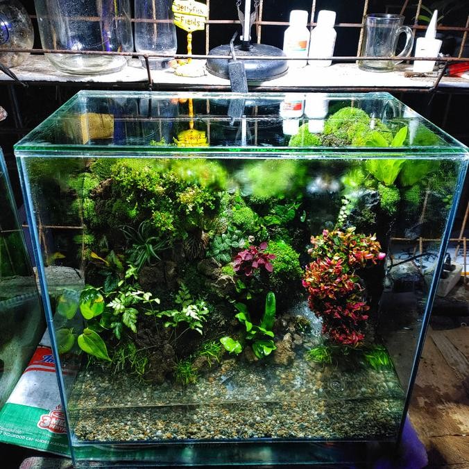 Diskon 50X30X50 Waterfall Paludarium Set Aquatic