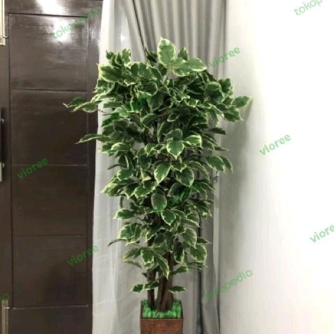 TERBARU Tanaman hias artificial besar 170cm Sinfu Pohon Bunga plastik Tinggi