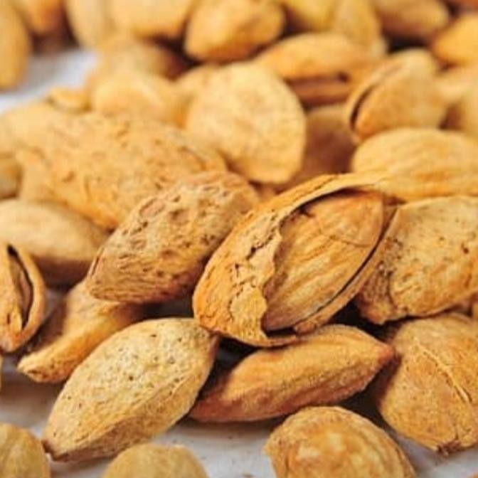 

kacang almond panggang 1 kg / kacang kulit cangkang / kacang almon Berkualitas