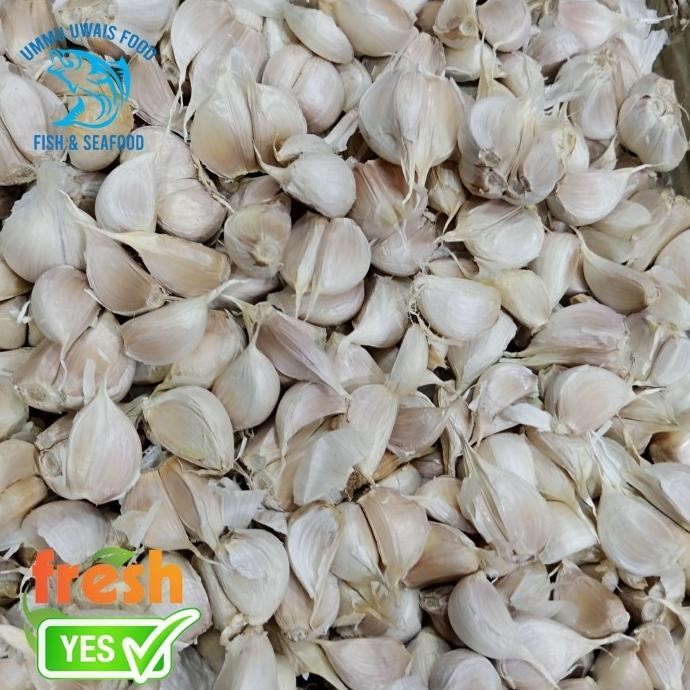 

BAWANG PUTIH KATING SEGAR - 1 KILOGRAM ORIGINAL