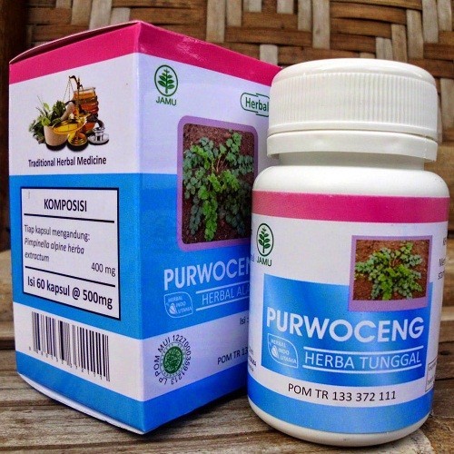 KapsulPURWOCENG TOGA NUSANTARA