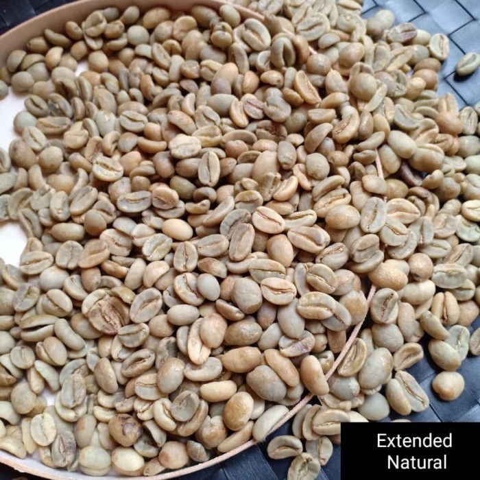 

Green Bean Arabika Gayo Anaerob Natural