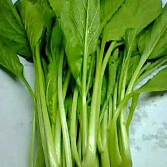 

New Benih Sayur Sawi Hijau / Choi Sum / Sawi Bakso - Bulk Size