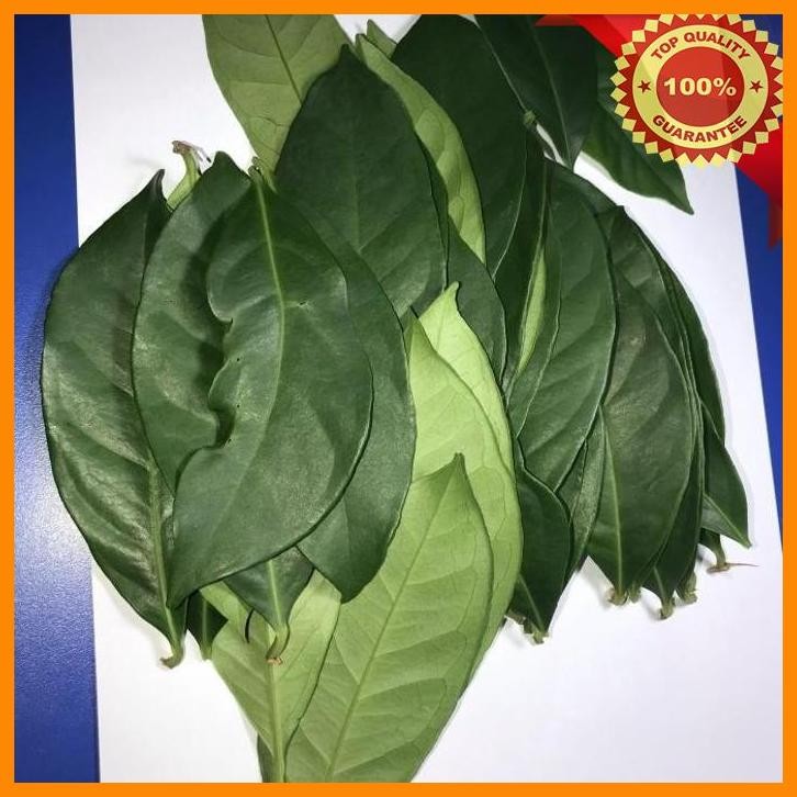 

[MGG] daun salam (harga 1 pc, minimal beli 40 pc, 1 pc, 1gram, 40pc, 40gram)