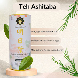 

Ashitaba Herbal Tea - Pemulihan Alami untuk Kesehatan Pencernaan