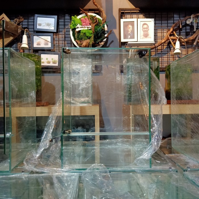 A100 NEO GLASS TERRARIUM VIVARIUM PALUDARIUM TANK AQUARIUM AQUASCAPE