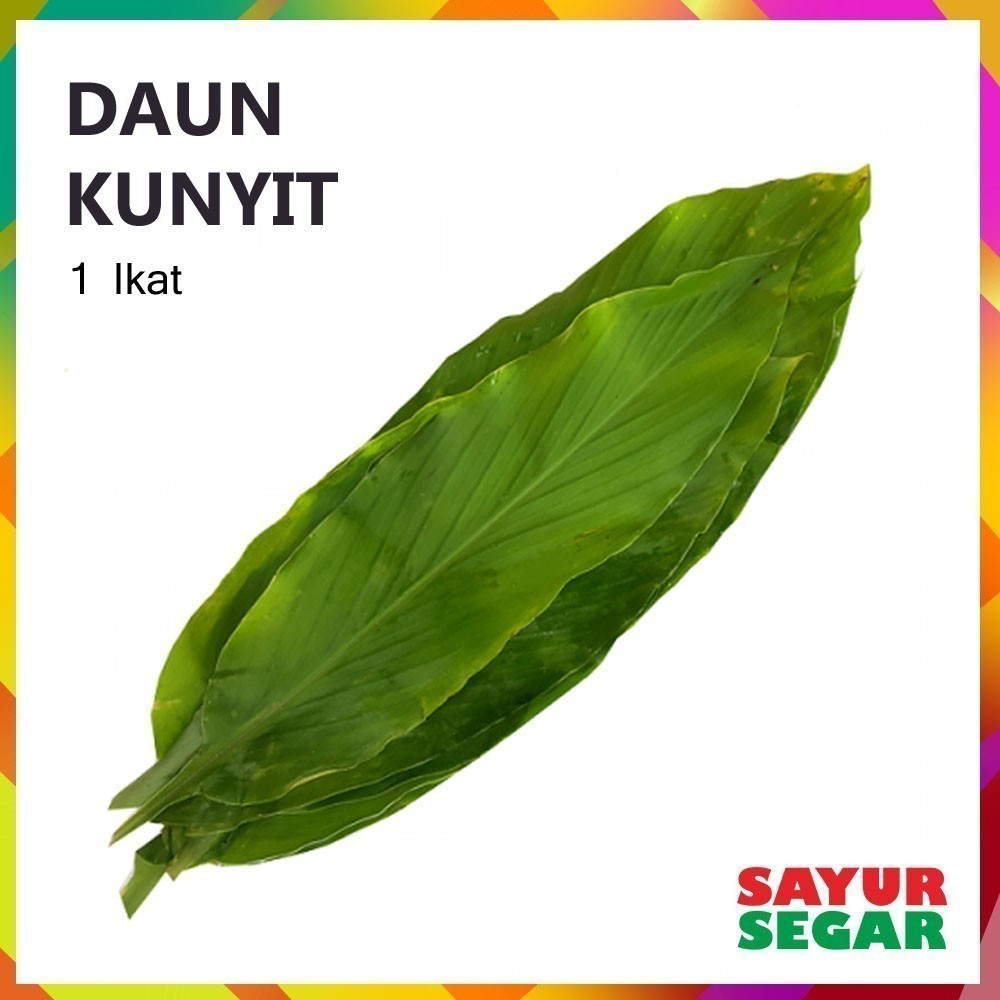 

Daun Kunyit / Kunir [1 Ikat]