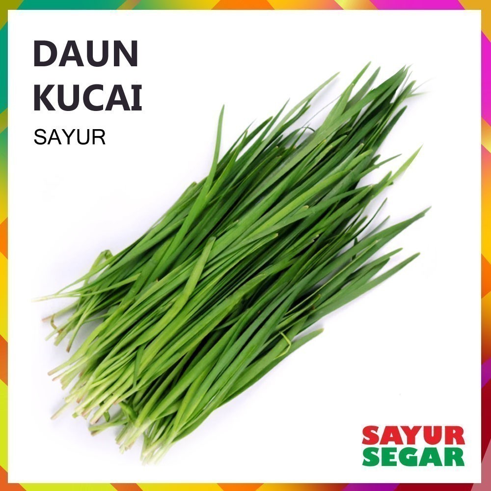 

Daun Kucai Segar - Sayur [1 Ikat]