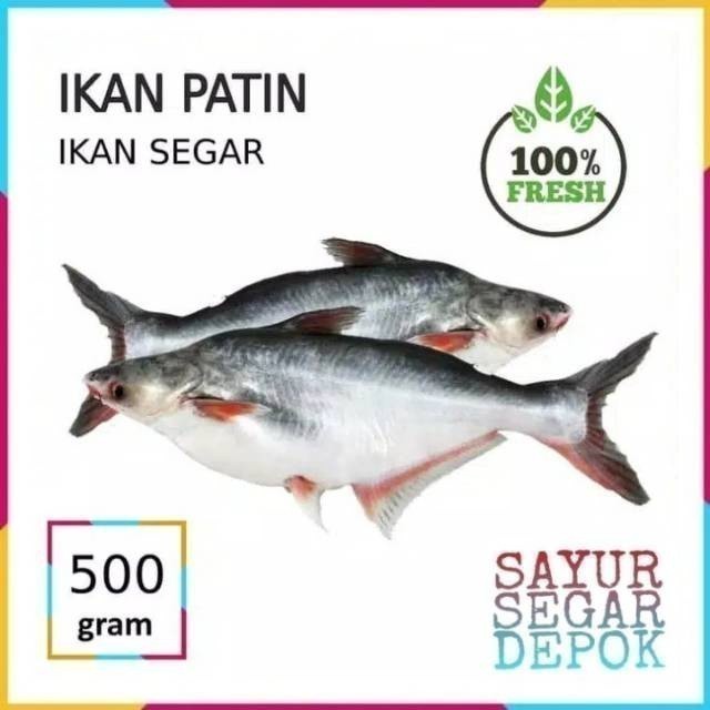 

Ikan patin 500 gram / sayur segar depok