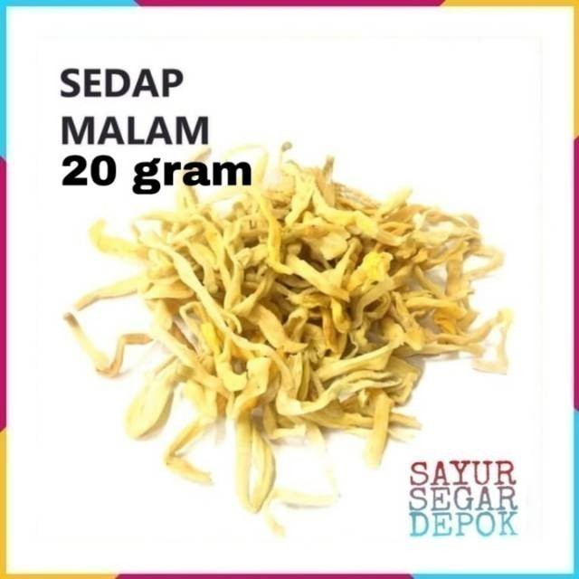 

BUNGA SEDAP MALAM