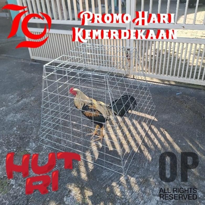 PROMO Kandang kurungan ayam lipat galvanis Aw89