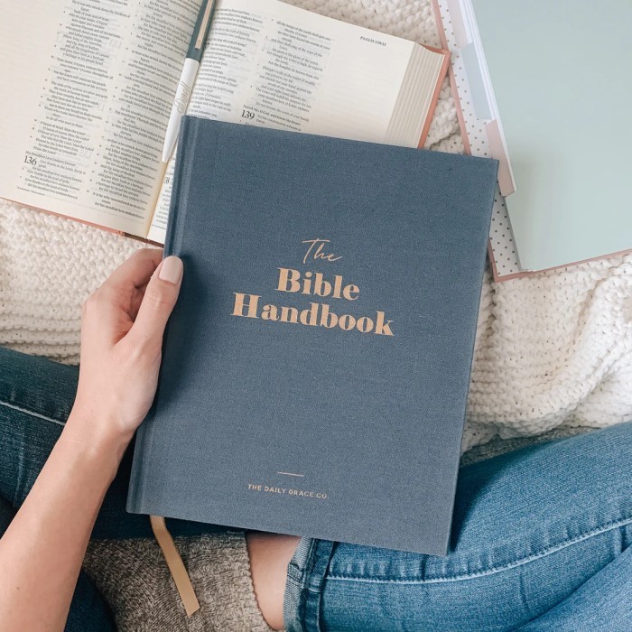 

Daily Grace, The Bible Handbook, Hardcover-Blue