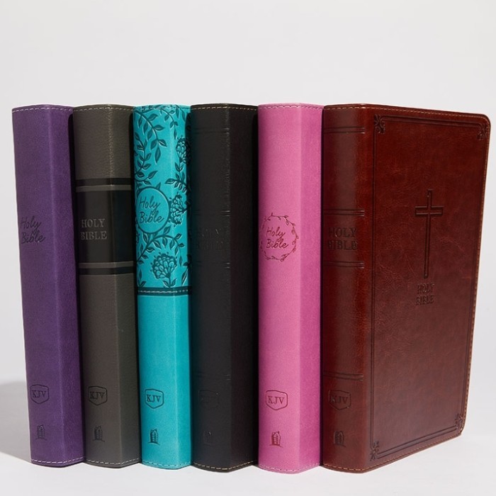 

HOLY BIBLE: KJV DELUXE GIFT BIBLE LEATHERSOFT RED LETTER COMFORT PRINT
