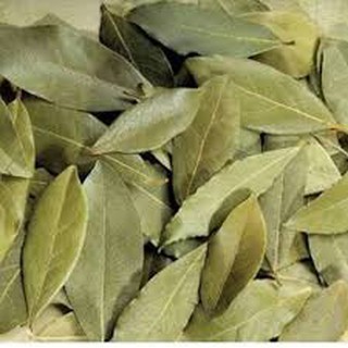 

Dried Bay Leaves 1 Kg / Daun Salam Kering / Turkish Bay Leaves 1 Kg {TerlarisBest Seller}