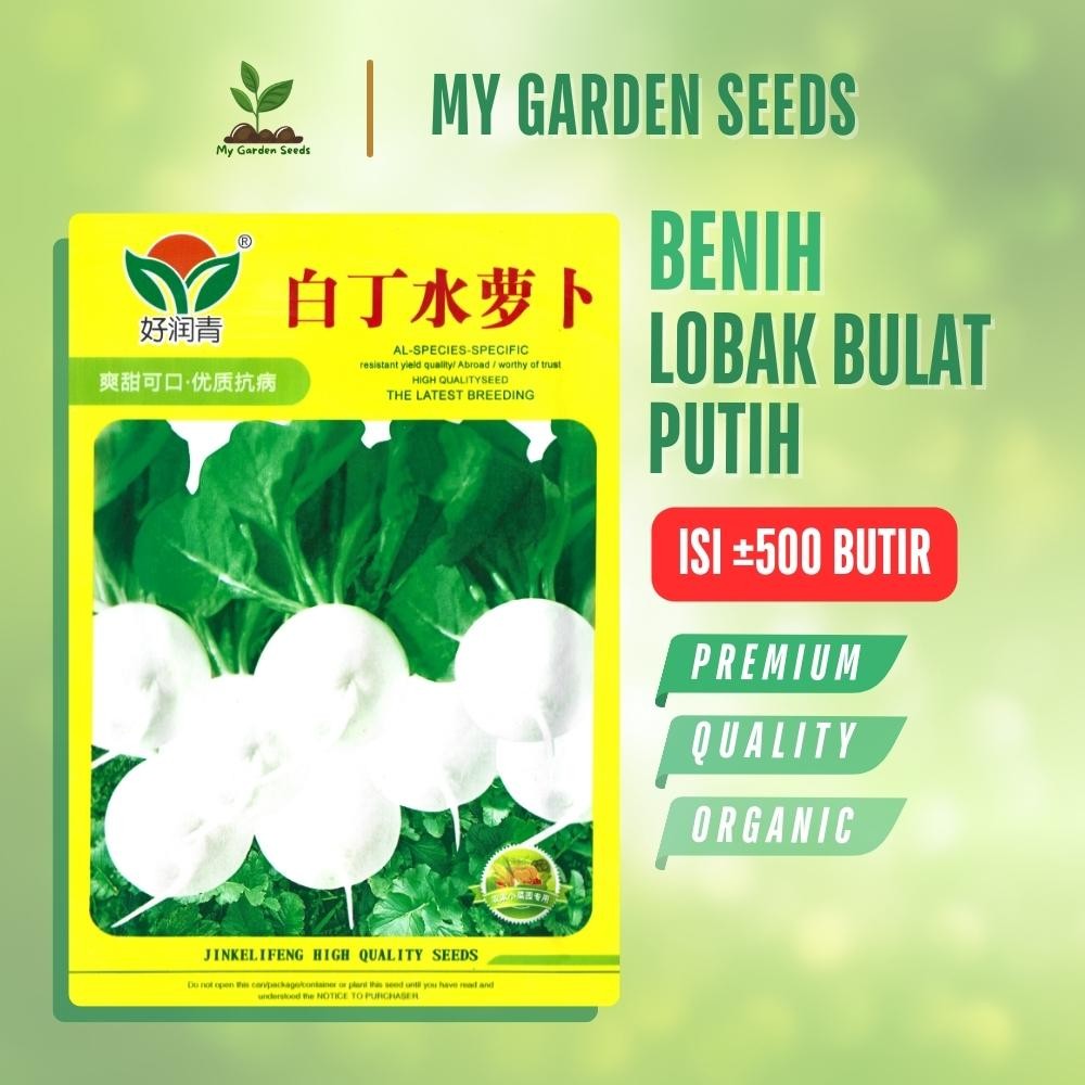 BENIH LOBAK BULAT PUTIH KEMASAN IMPORT ± 500 BUTIR