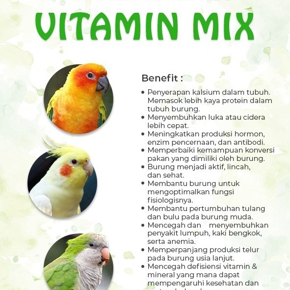 Pakan Burung Parrot Pharmacy Mix Plus 5Kg Jj Premium Vitamin Lovebird