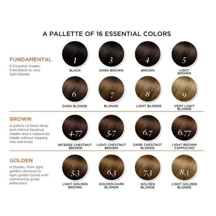 

Ammonia-Free and Permanent Botanical Hair Color Phytocolor