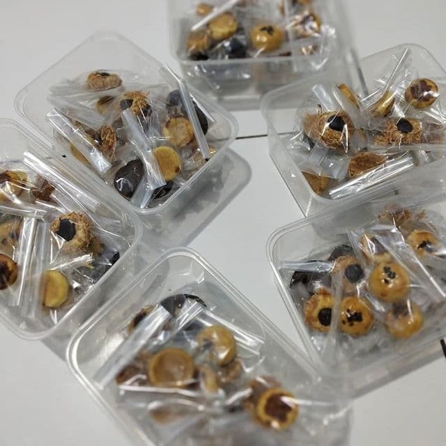 

Product Terlaris Mix Cookies Keto