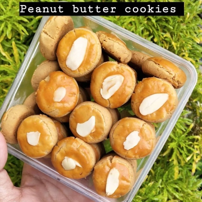 

Product Terlaris Peanut Butter Cookies Keto