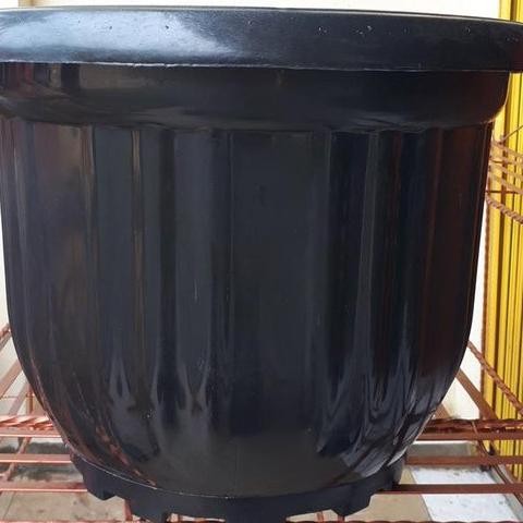 Pot Bunga Bear Jumbo 50 Cm Pot Bunga Jumbo Bear Pot Bear Pot Gla 50