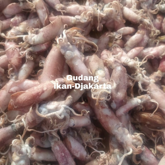 

IKAN ASIN CUMI NETTO-1KG