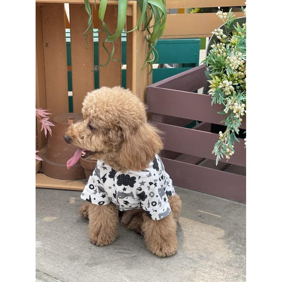 BAJU ANJING POODLE PAWPAWSOME PROJECTS BLACK AD WHITE PRINTING