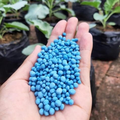 jg-8 Benih Seribuan - Pupuk NPK Mutiara 161616 500gr Cap Tawon Terlaris