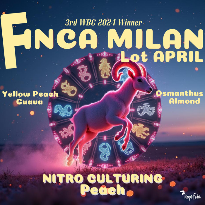 

Terbaru Finca Milan Lot Winner Wbc 2024 I Colombia Filter Coffee I Kopi Febi Terlaris