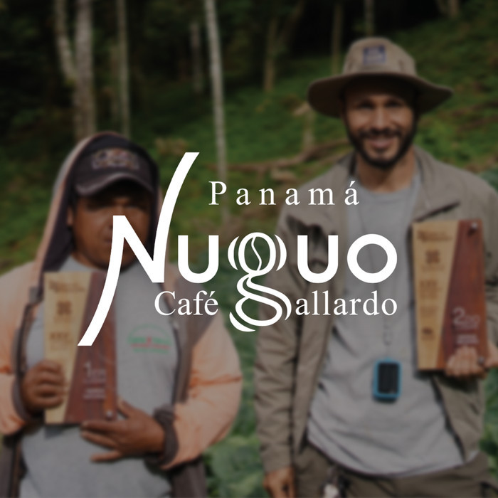 

New Cafe Gallardo Finca Nuguo Panama Geisha - Natural Lot Nf-447 Best Seller