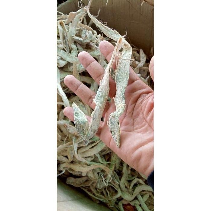 

Terbaru LAYUR ASIN KERING 1000GRAM Ready
