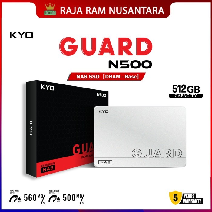 Kyo Guard N500 Dram Ssd 512Gb Sata Iii 3D Nand Tlc Nas Ssd