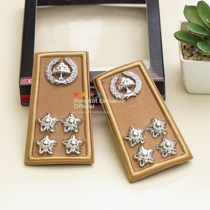 Town Pangkat Asn Lampung 3D Kain