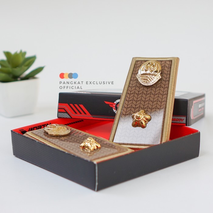 Town Pangkat Asn Pemprov Jabar 3D - Pangkat Asn Pemprov Jawa Barat 3D