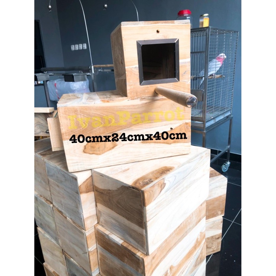 GLODOK KAYU JATI BURUNG PARROT SUN CONURE BETET NURI IRN MONK WBC BHC KODE 252